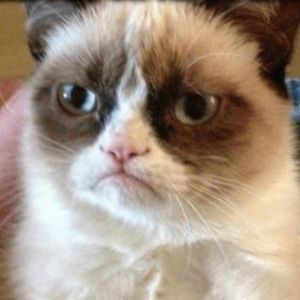 Meet your Posher, Eliud